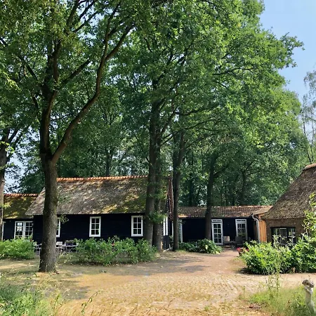 Hof 3*