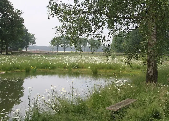 住宿加早餐酒店 Hof